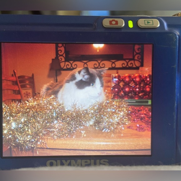 Olympus FE-220 7.1 MP Blue Digital Camera - Working, Used, w/ Battery & Charger - Picture 3 of 7